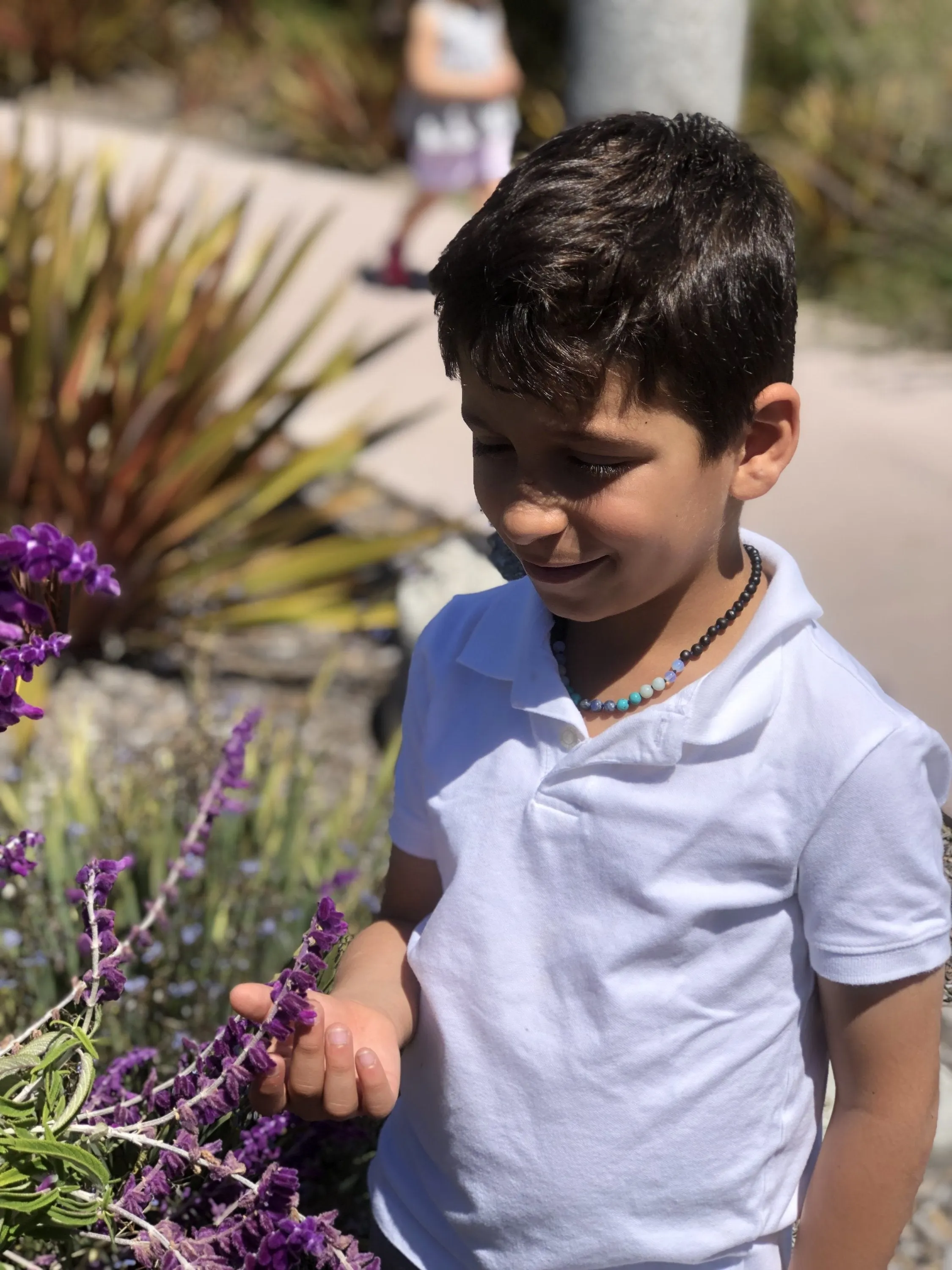 Boost Immune System with Cherry Amber and Turquoise Necklace for Kids - Blue Rainbow Color