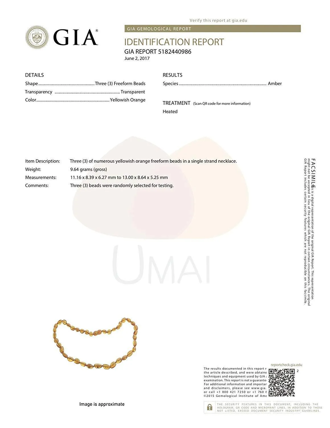 Boost Immune System with Cherry Amber and Turquoise Necklace for Kids - Blue Rainbow Color